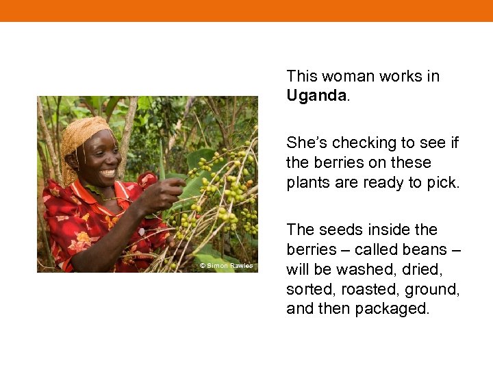 This woman works in Uganda. She’s checking to see if the berries on these