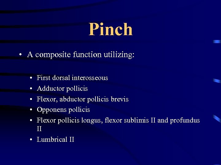 Pinch • A composite function utilizing: • • • First dorsal interosseous Adductor pollicis