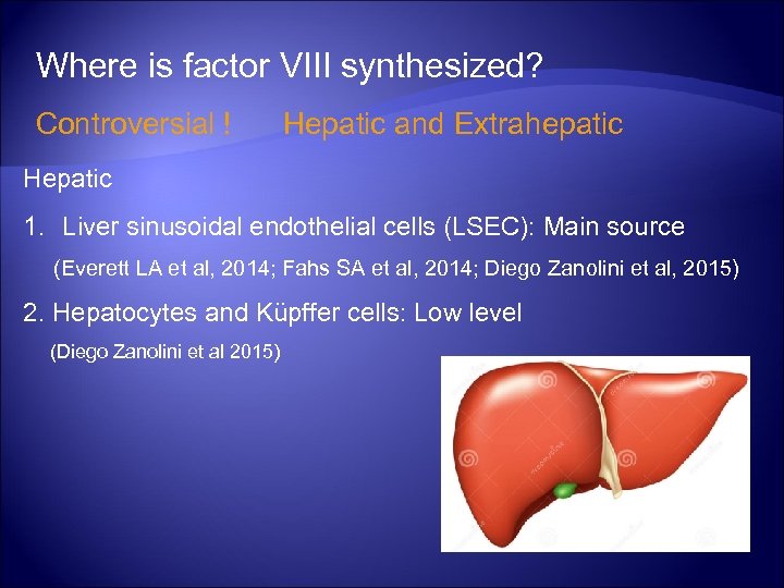 Where is factor VIII synthesized? Controversial ! Hepatic and Extrahepatic Hepatic 1. Liver sinusoidal