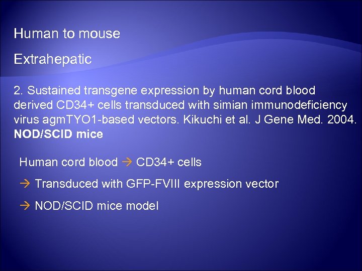 Human to mouse Extrahepatic 2. Sustained transgene expression by human cord blood derived CD