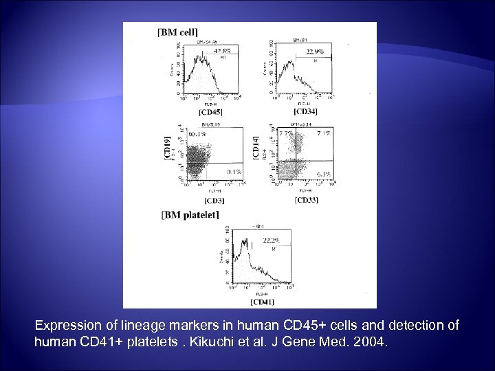 Expression of lineage markers in human CD 45+ cells and detection of human CD