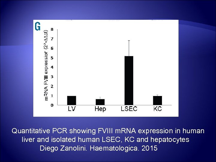 Quantitative PCR showing FVIII m. RNA expression in human liver and isolated human LSEC,