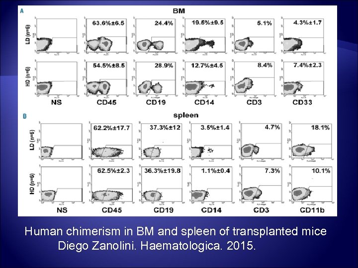 Human chimerism in BM and spleen of transplanted mice Diego Zanolini. Haematologica. 2015. 