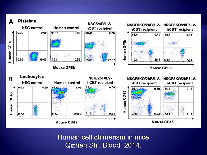 Human cell chimerism in mice Qizhen Shi. Blood. 2014. 