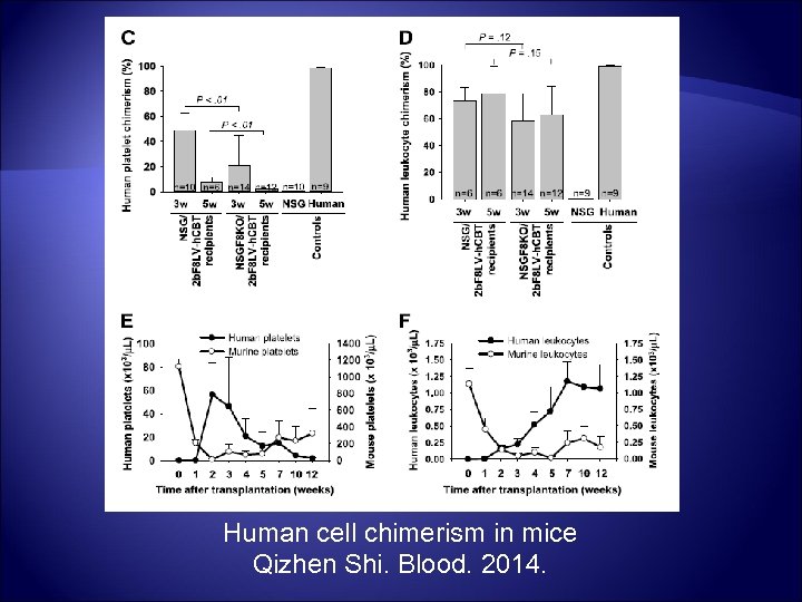 Human cell chimerism in mice Qizhen Shi. Blood. 2014. 