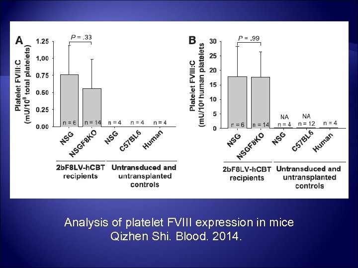 Analysis of platelet FVIII expression in mice Qizhen Shi. Blood. 2014. 