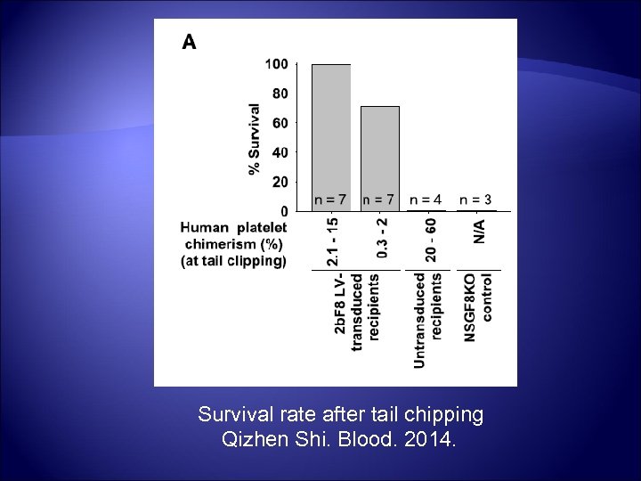 Survival rate after tail chipping Qizhen Shi. Blood. 2014. 