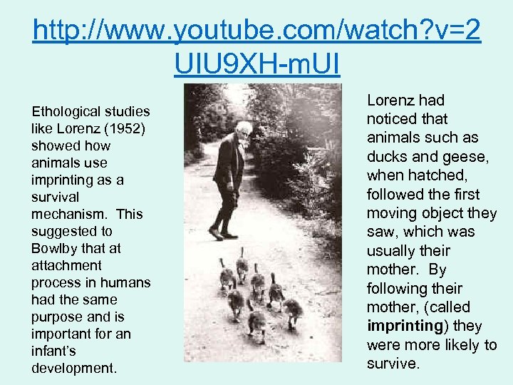 http: //www. youtube. com/watch? v=2 UIU 9 XH-m. UI Ethological studies like Lorenz (1952)