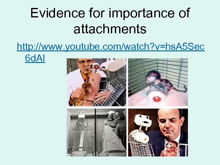 Evidence for importance of attachments http: //www. youtube. com/watch? v=hs. A 5 Sec 6