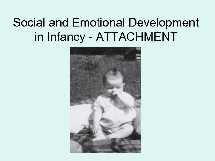 Social and Emotional Development in Infancy - ATTACHMENT 