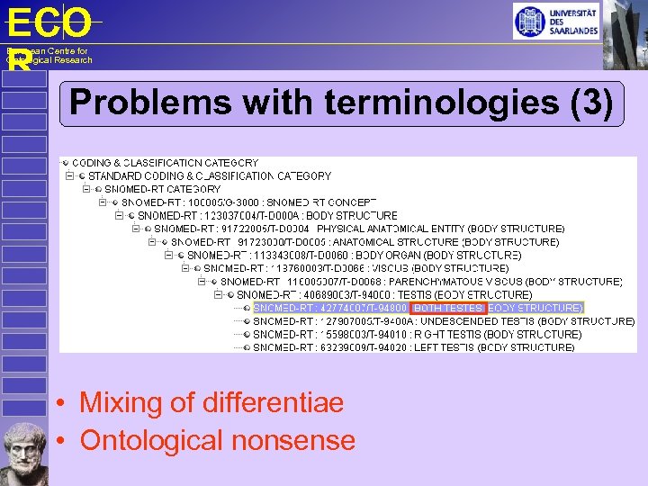 ECO R European Centre for Ontological Research Problems with terminologies (3) • Mixing of