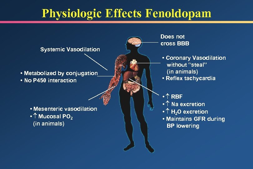 Physiologic Effects Fenoldopam Systemic Vasodilation Does not cross BBB • Metabolized by conjugation •