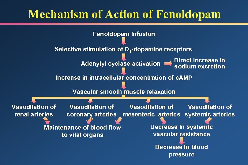 Mechanism of Action of Fenoldopam infusion Selective stimulation of D 1 -dopamine receptors Adenylyl