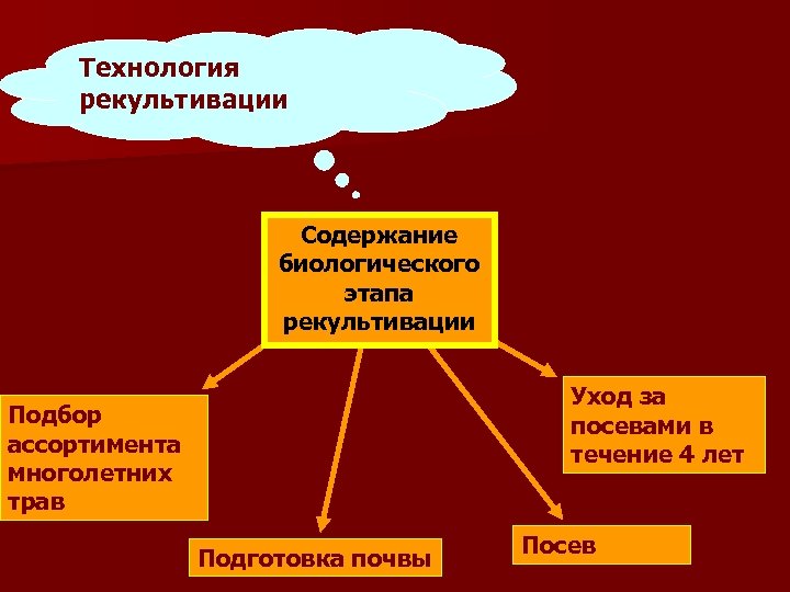 Технология рекультивации Содержание биологического этапа рекультивации Уход за посевами в течение 4 лет Подбор