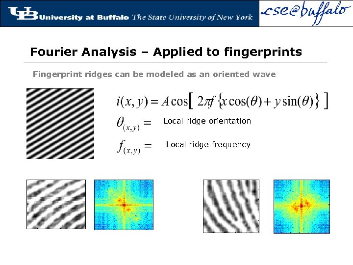 Fourier Analysis – Applied to fingerprints Fingerprint ridges can be modeled as an oriented