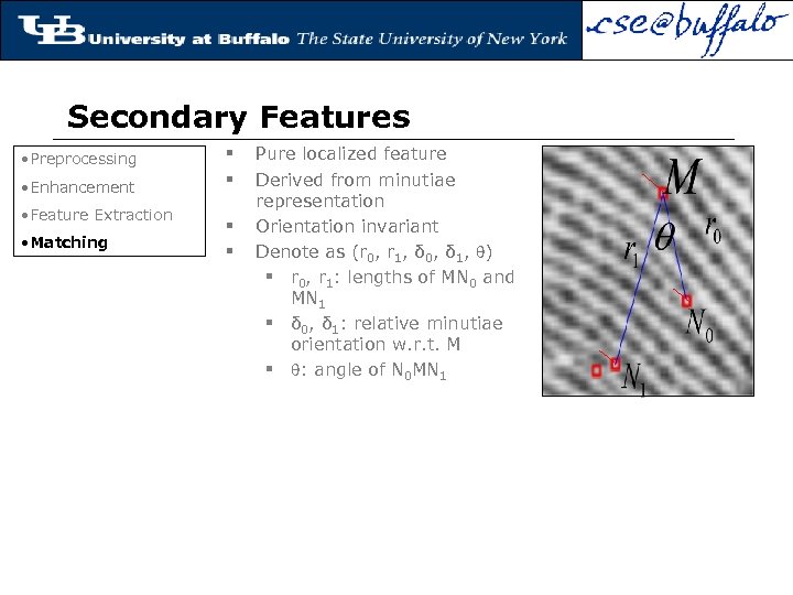 Secondary Features • Preprocessing • Enhancement • Feature Extraction • Matching § § Pure