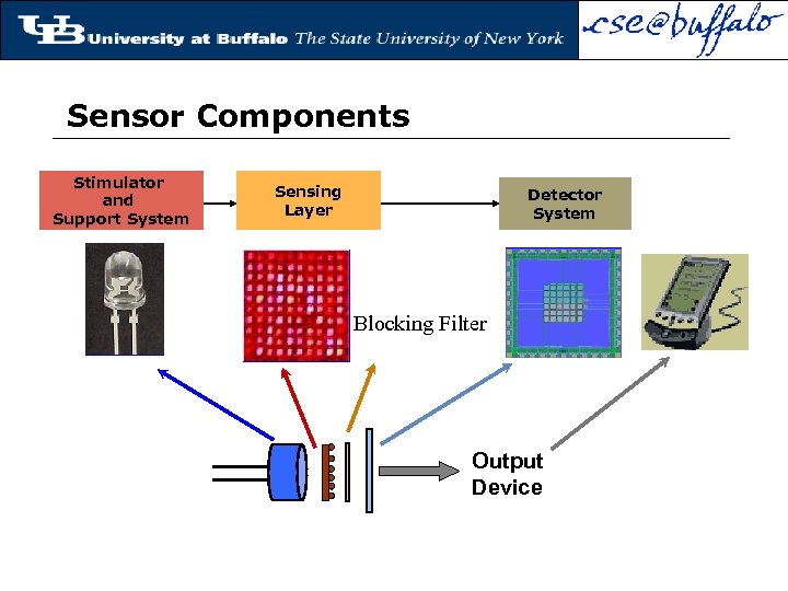 Sensor Components Stimulator and Support System Sensing Layer Detector System Blocking Filter Output Device