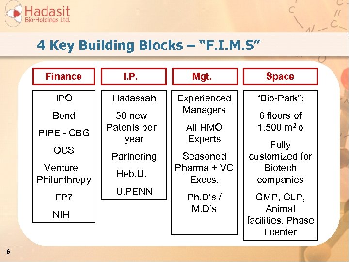 4 Key Building Blocks – “F. I. M. S” Finance I. P. IPO Hadassah