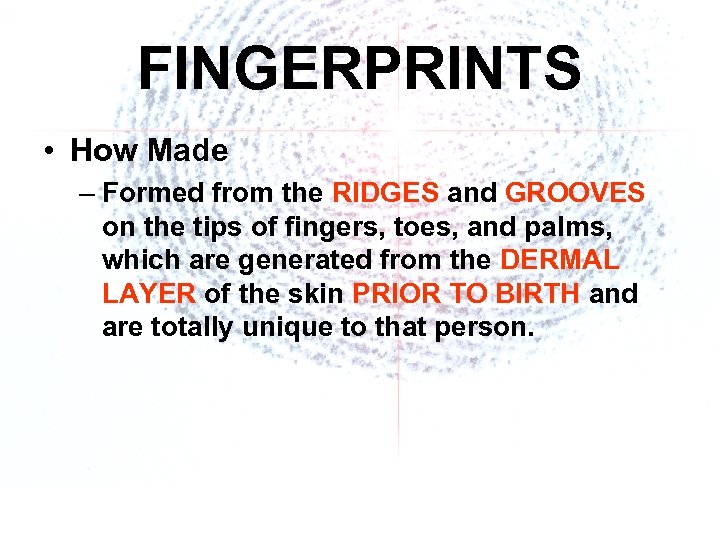 FINGERPRINTS • How Made – Formed from the RIDGES and GROOVES on the tips