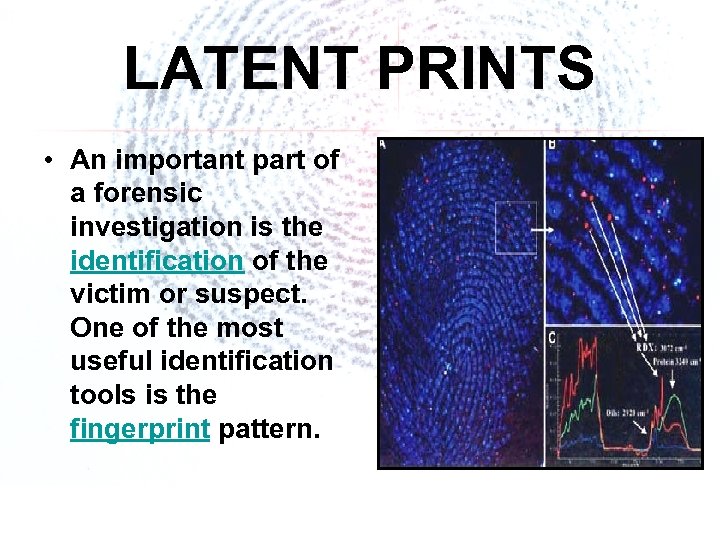 LATENT PRINTS • An important part of a forensic investigation is the identification of
