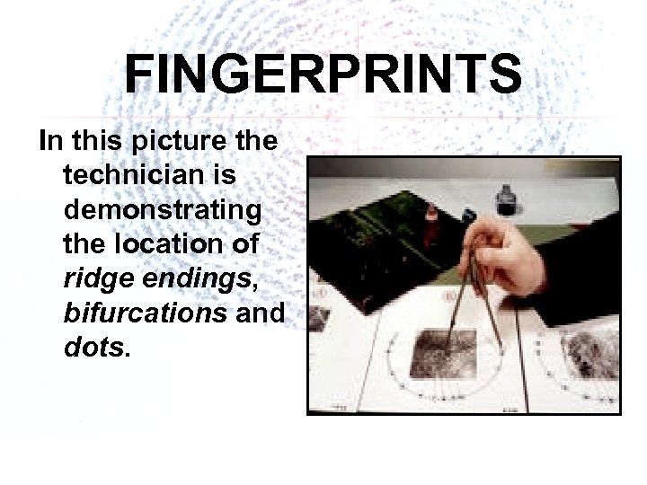 FINGERPRINTS In this picture the technician is demonstrating the location of ridge endings, bifurcations