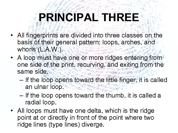 PRINCIPAL THREE • All fingerprints are divided into three classes on the basis of