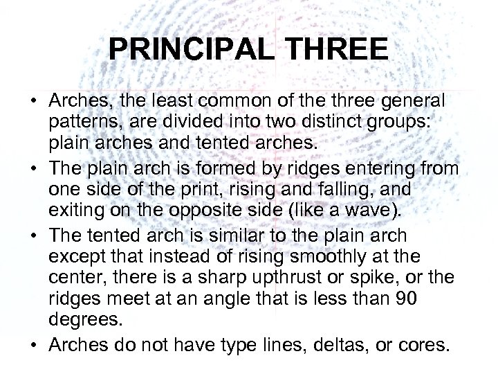 PRINCIPAL THREE • Arches, the least common of the three general patterns, are divided