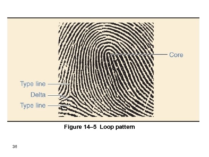 Figure 14– 5 Loop pattern. 36 