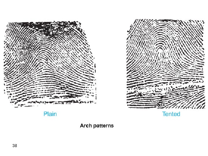 Arch patterns. 38 