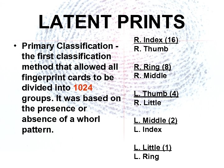 LATENT PRINTS • Primary Classification - the first classification method that allowed all fingerprint