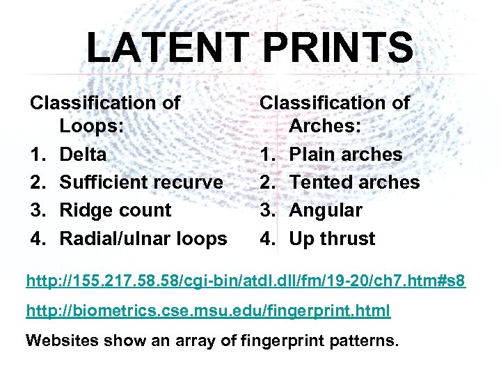 LATENT PRINTS Classification of Loops: 1. Delta 2. Sufficient recurve 3. Ridge count 4.