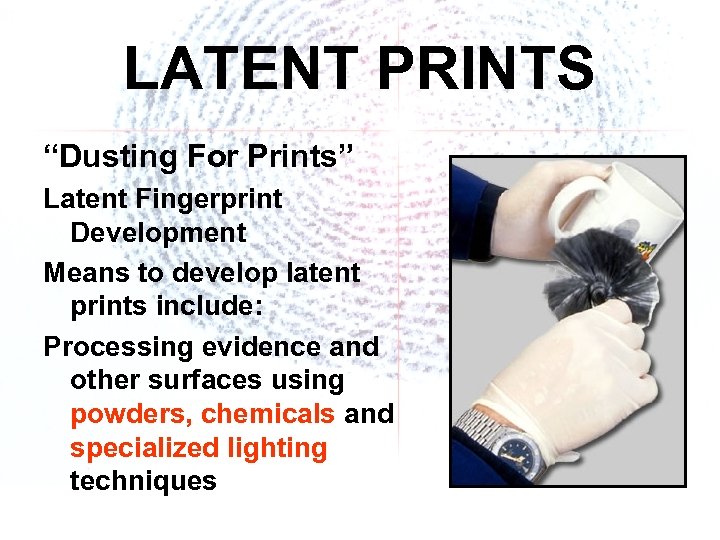 LATENT PRINTS “Dusting For Prints” Latent Fingerprint Development Means to develop latent prints include: