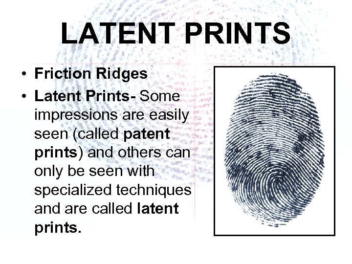 LATENT PRINTS • Friction Ridges • Latent Prints- Some impressions are easily seen (called