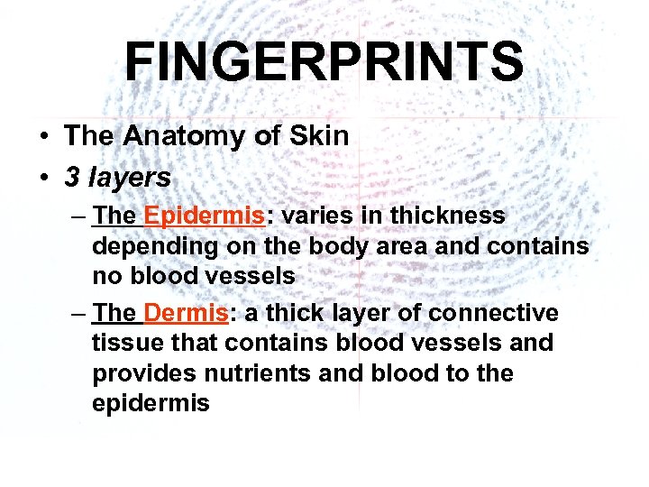 FINGERPRINTS • The Anatomy of Skin • 3 layers – The Epidermis: varies in