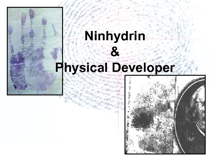 Ninhydrin & Physical Developer 