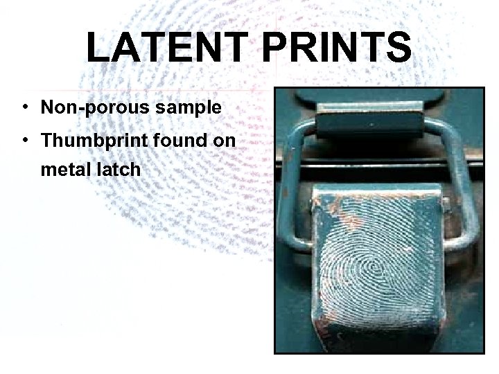 LATENT PRINTS • Non-porous sample • Thumbprint found on metal latch 