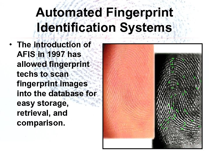 Automated Fingerprint Identification Systems • The introduction of AFIS in 1997 has allowed fingerprint