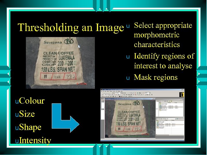 Thresholding an Image u u. Colour u. Size u. Shape u. Intensity Select appropriate