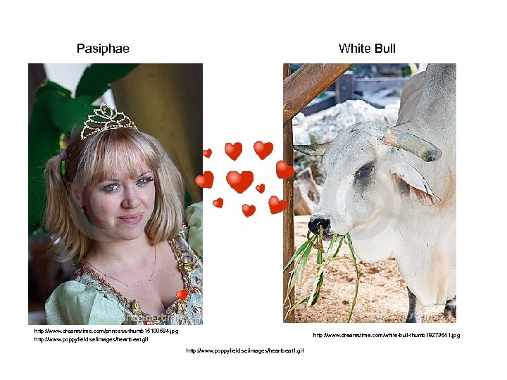 Pasiphae White Bull http: //www. dreamstime. com/princess-thumb 15100584. jpg http: //www. poppyfield. se/images/heartbeat. gif