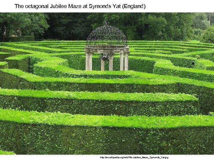 The octagonal Jubilee Maze at Symonds Yat (England) http: //en. wikipedia. org/wiki/File: Jubilee_Maze, _Symonds_Yat.