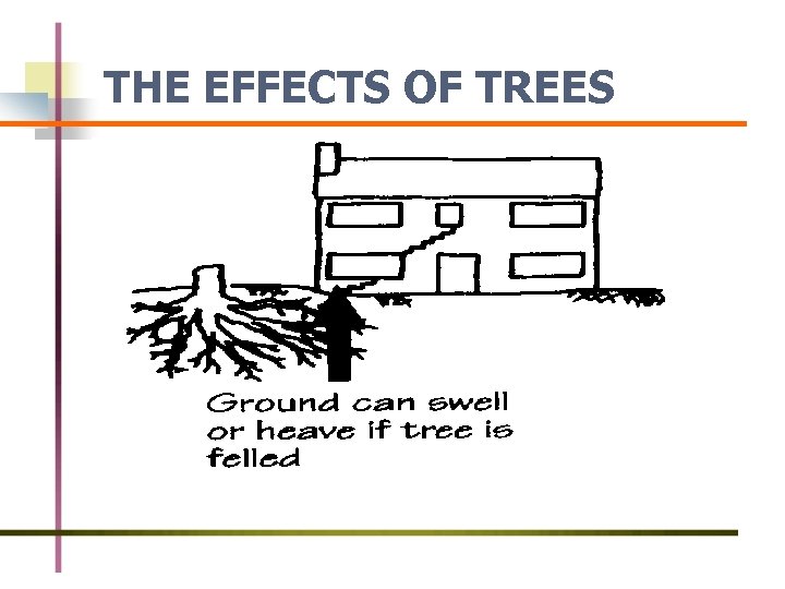 THE EFFECTS OF TREES 