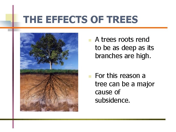 THE EFFECTS OF TREES n n A trees roots rend to be as deep