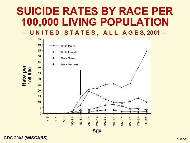 SUICIDE RATES BY RACE PER 100, 000 LIVING POPULATION 100, 000 Rate per —