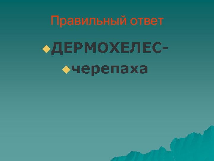 Правильный ответ u. ДЕРМОХЕЛЕСuчерепаха 