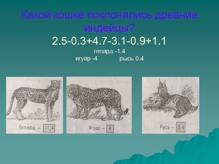 Какой кошке поклонялись древние индейцы? 2. 5 -0. 3+4. 7 -3. 1 -0. 9+1.