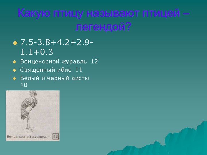 Какую птицу называют птицей – легендой? u u 7. 5 -3. 8+4. 2+2. 91.