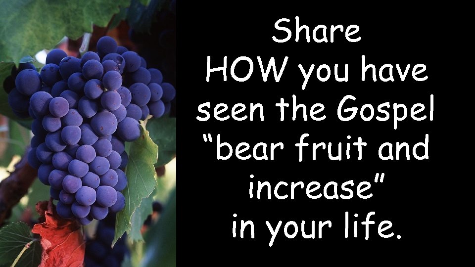 Share HOW you have seen the Gospel “bear fruit and increase” in your life.