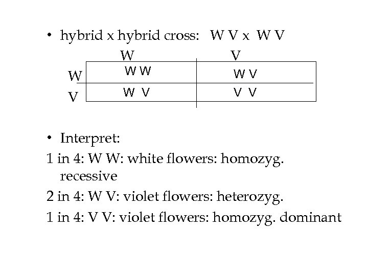  • hybrid x hybrid cross: W V x W V WW WV W