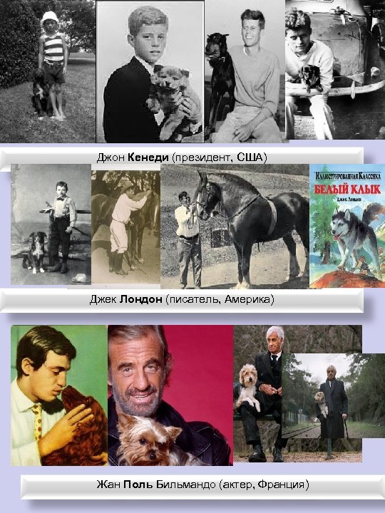 Джон Кенеди (президент, США) Джек Лондон (писатель, Америка) Жан Поль Бильмандо (актер, Франция) 