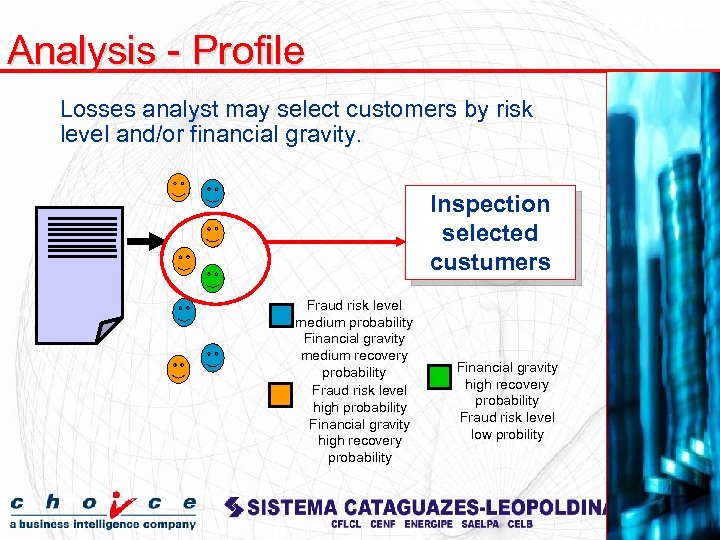 Analysis - Profile Losses analyst may select customers by risk level and/or financial gravity.